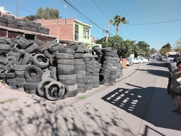 WhatsApp Image 2026-04-06 at 11.01.52 AM