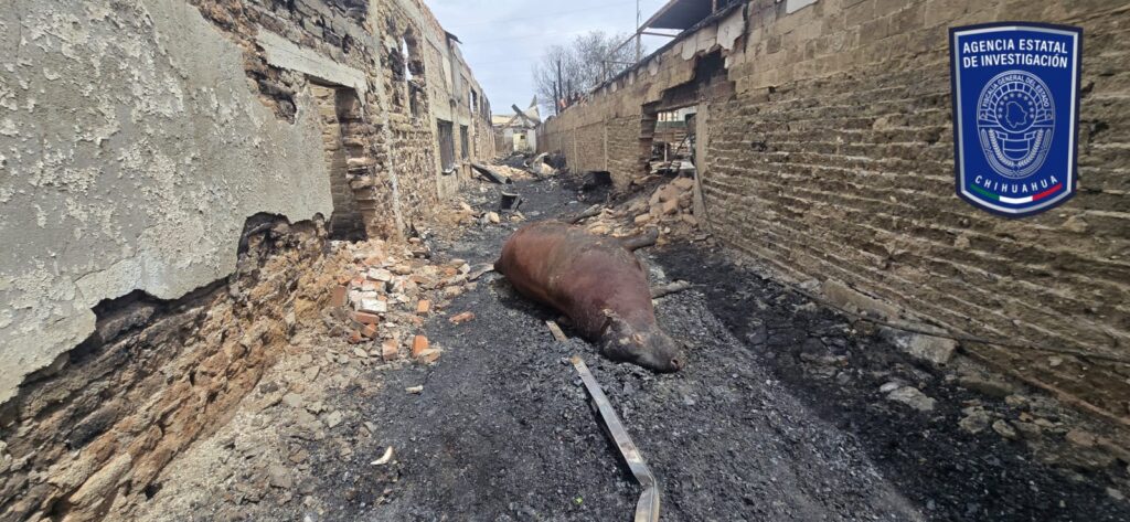 WhatsApp Image 2026-04-07 at 12.58.17 PM