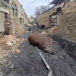 WhatsApp Image 2026-04-07 at 12.58.17 PM