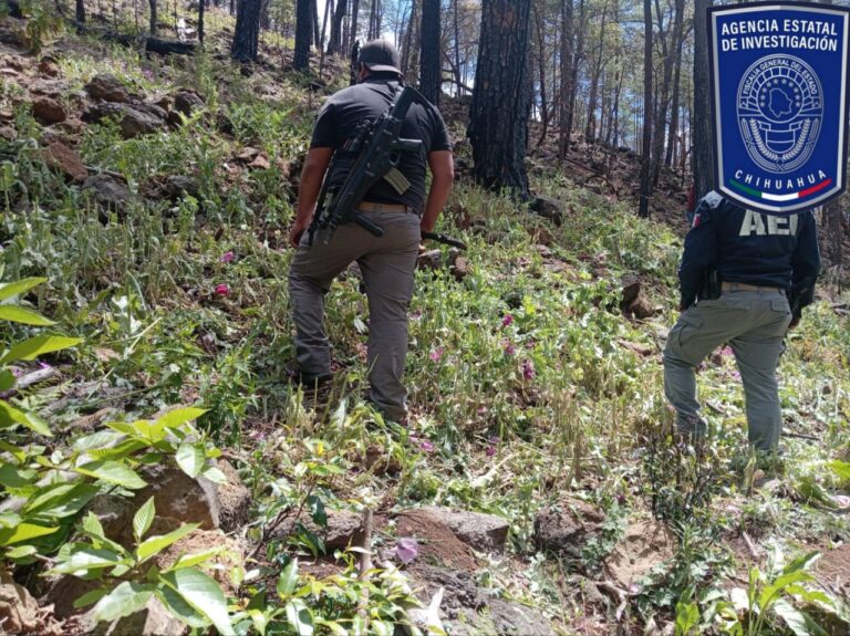 WhatsApp Image 2026-04-09 at 10.54.57 AM (1)