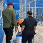 WhatsApp Image 2026-04-10 at 10.02.48 AM (1)