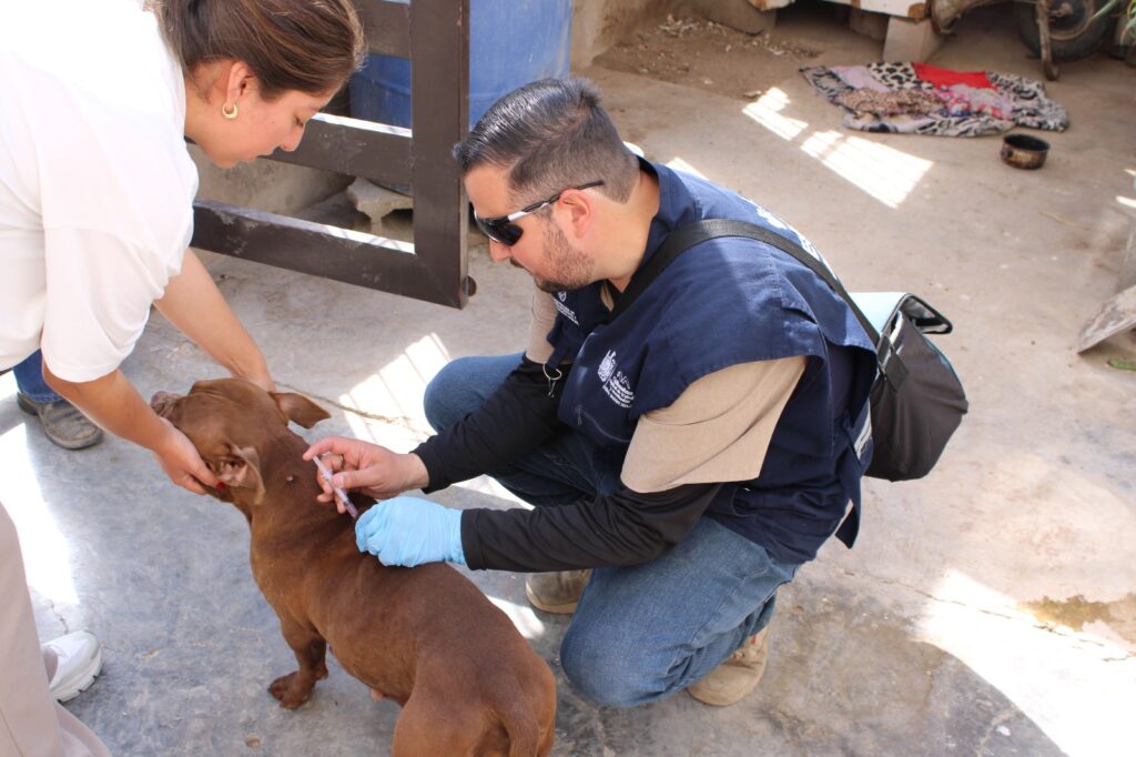 WhatsApp Image 2026-04-10 at 11.46.35 AM (1)