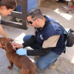 WhatsApp Image 2026-04-10 at 11.46.35 AM (1)