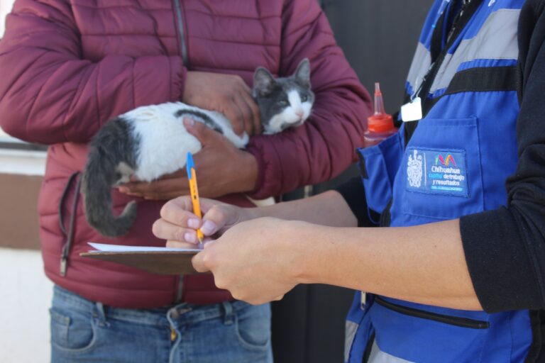 WhatsApp Image 2026-04-13 at 9.27.04 AM