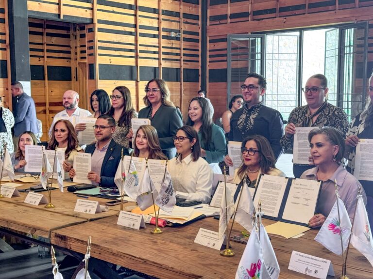 WhatsApp Image 2026-04-14 at 14.23.06