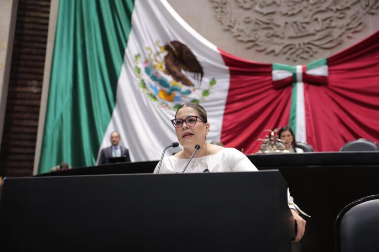 WhatsApp Image 2026-04-14 at 18.46.42