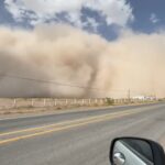 WhatsApp Image 2026-04-15 at 12.31.27 (2)