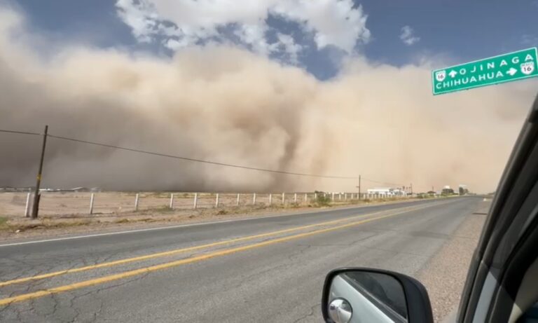 WhatsApp Image 2026-04-15 at 12.31.27 (2)