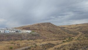 WhatsApp Image 2026-04-15 at 12.54.53