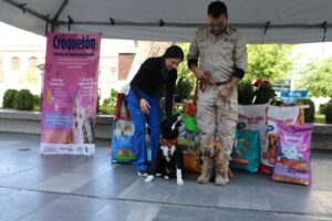 WhatsApp Image 2026-04-20 at 12.58.50 PM