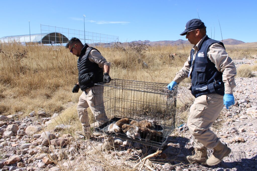 WhatsApp Image 2026-04-21 at 12.59.10 PM