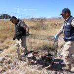 WhatsApp Image 2026-04-21 at 12.59.10 PM