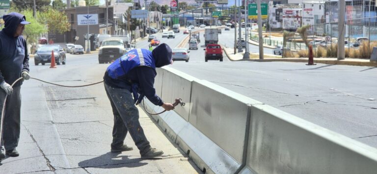 WhatsApp Image 2026-04-22 at 10.07.47 (1)