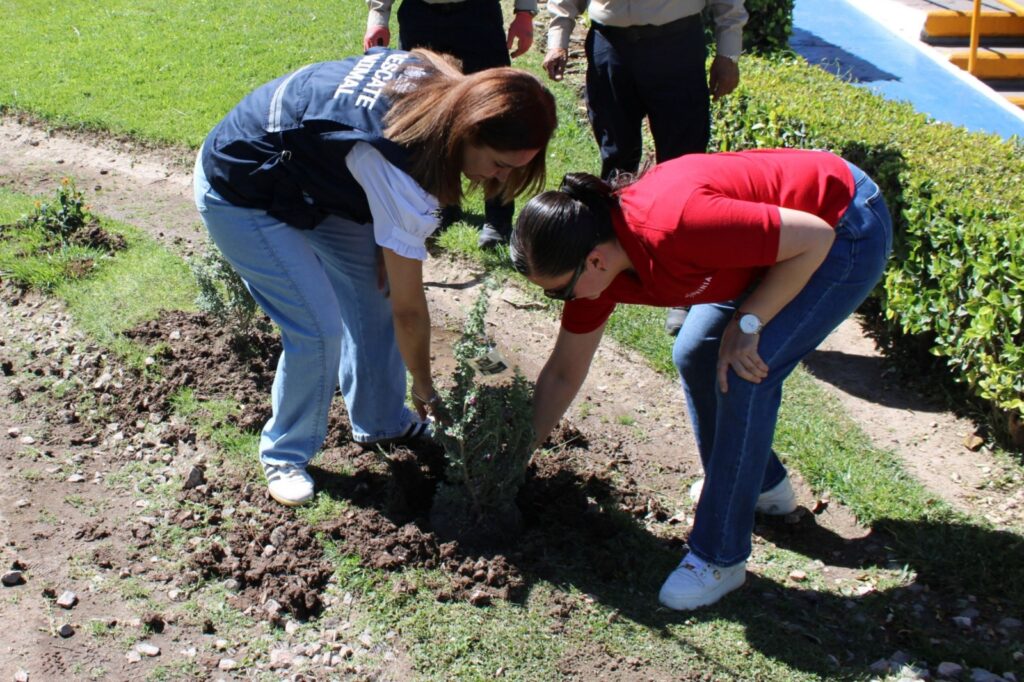 WhatsApp Image 2026-04-27 at 15.20.01