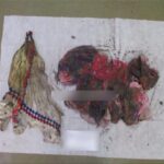 IMG-20260514-WA0054