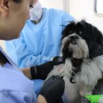 WhatsApp Image 2026-05-12 at 1.16.36 PM (1)