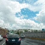 chihuahua-lluvia