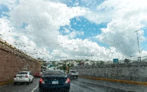 chihuahua-lluvia