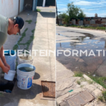 Fuente Info portadas