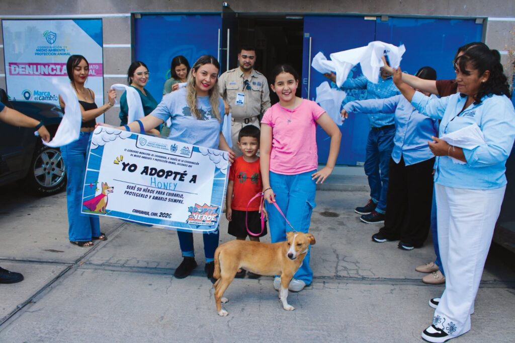 IMG-20260827-WA0011