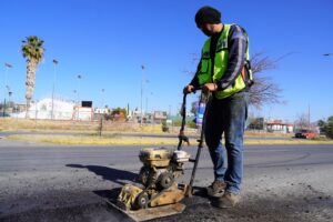 BACHE