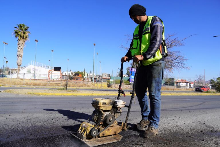 BACHE