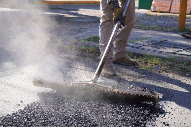 bache