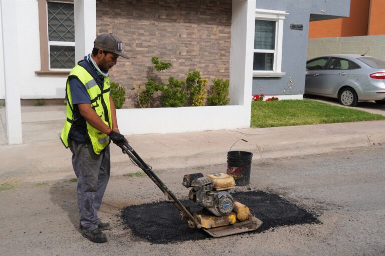 bache