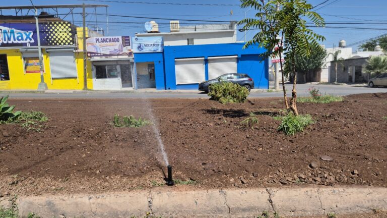 WhatsApp Image 2026-09-09 at 10.25.45 AM (1)