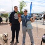 mascotas vacunacion