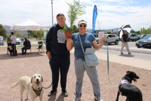 mascotas vacunacion