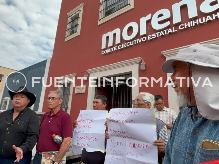 WhatsApp Image 2026-09-25 at 13.33.51