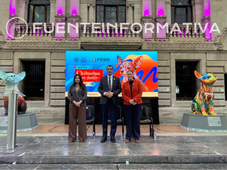 Fuente Info portadas
