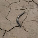 WhatsApp Image 2026-10-17 at 11.54.58 AM